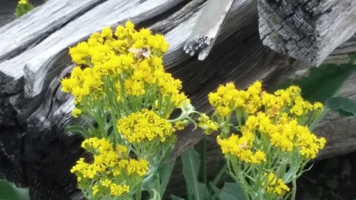 Waunita Hot Springs Ranch - Photo 7