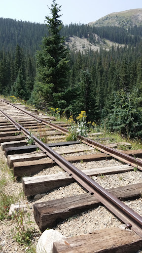 Waunita Hot Springs Ranch - Photo 8