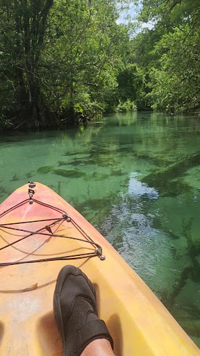 Weeki Wachee Spring State Park - Photo 2