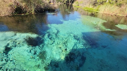 Weeki Wachee Spring State Park