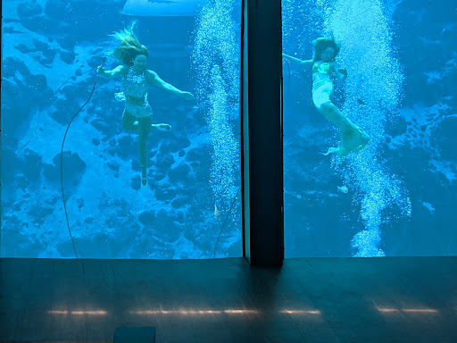 Weeki Wachee Spring State Park - Photo 5