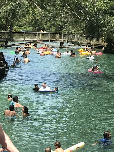 Wekiwa Springs State Park - Photo 3