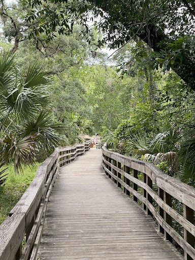 Wekiwa Springs State Park - Photo 4