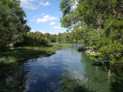 Wekiwa Springs State Park - Photo 5