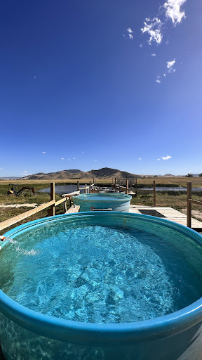 Wild Horse Hot Springs - Photo 4