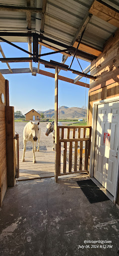 Wild Horse Hot Springs - Photo 6