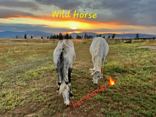 Wild Horse Hot Springs - Photo 7