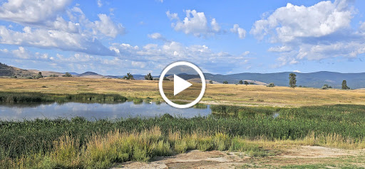 Wild Horse Hot Springs - Photo 8