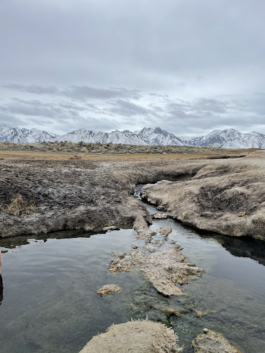 Wild Willy's Hot Springs - Photo 4