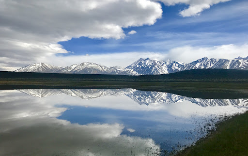 Wild Willy's Hot Springs - Photo 5