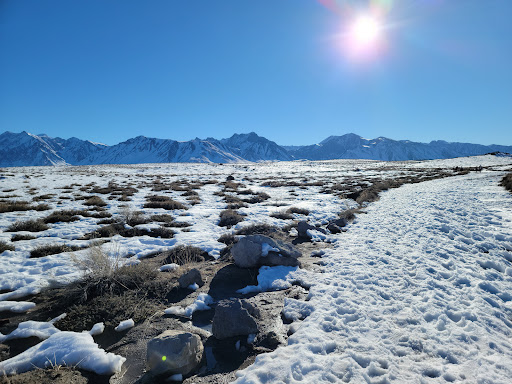 Wild Willy's Hot Springs - Photo 6
