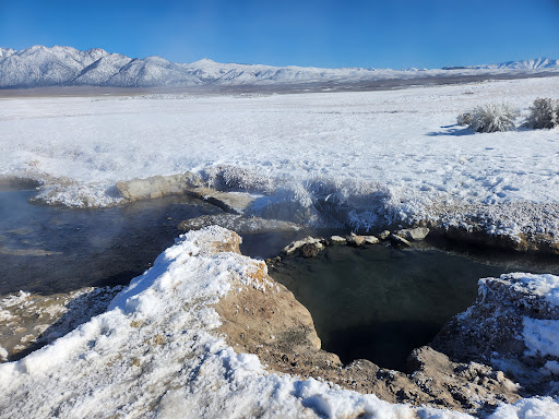 Wild Willy's Hot Springs - Photo 7