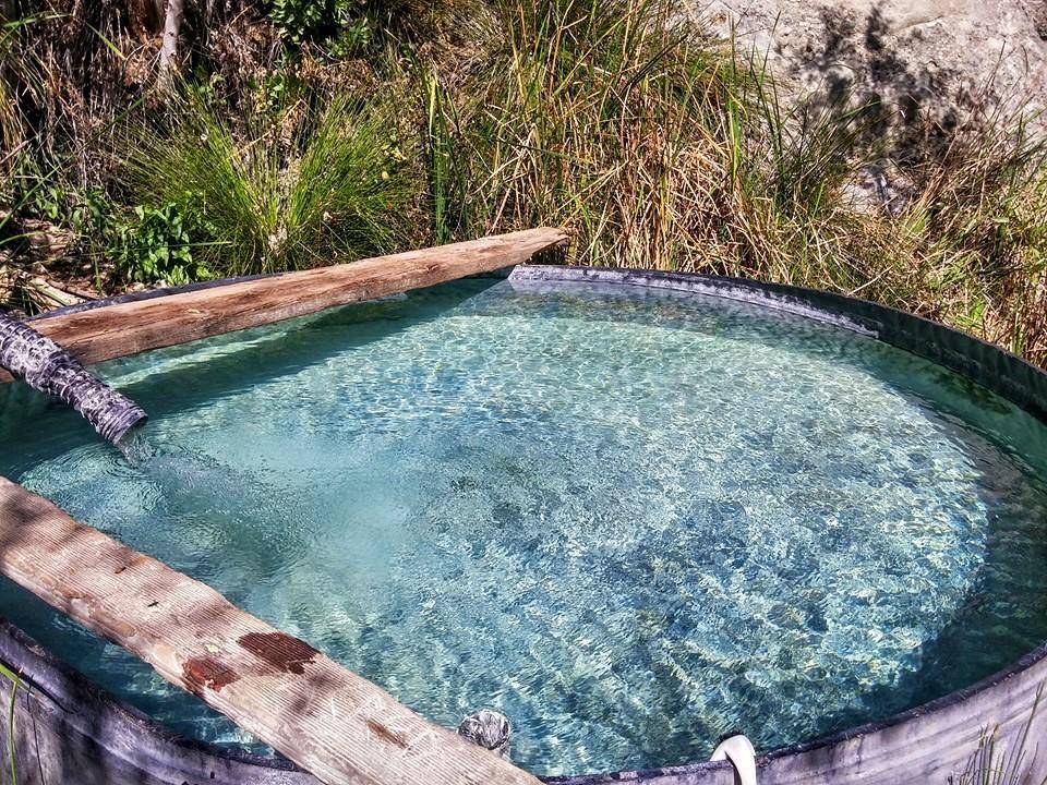 Willett Hot Springs