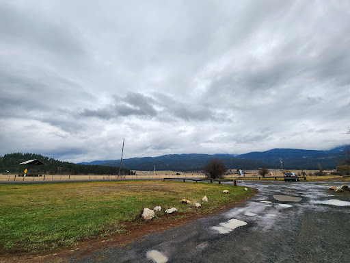 Zims Hot Springs - Photo 3