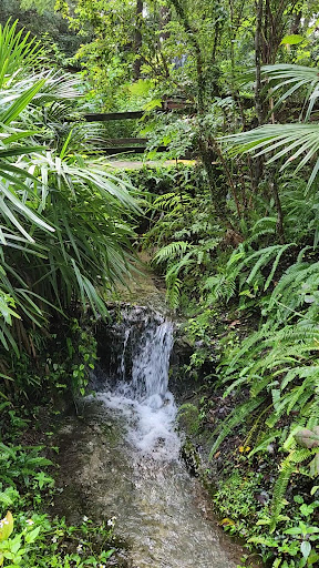 rainbow springs - Photo 3