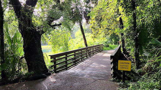rainbow springs - Photo 4